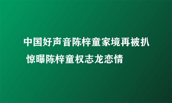 中国好声音陈梓童家境再被扒 惊曝陈梓童权志龙恋情