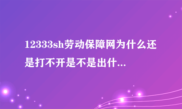 12333sh劳动保障网为什么还是打不开是不是出什么问题了啊？