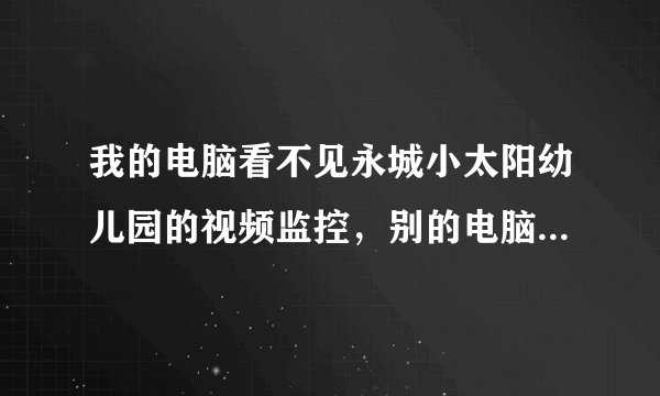 我的电脑看不见永城小太阳幼儿园的视频监控，别的电脑可以，请问要怎么设置？