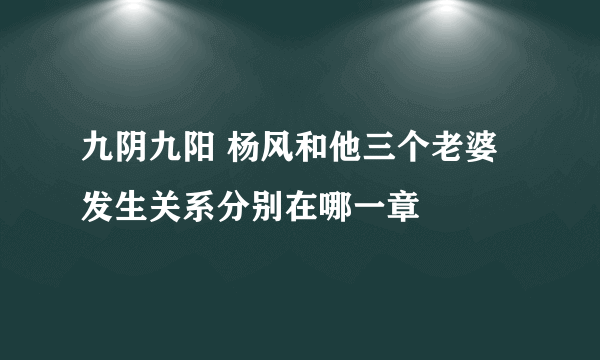 九阴九阳 杨风和他三个老婆发生关系分别在哪一章