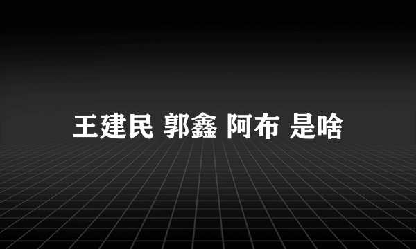 王建民 郭鑫 阿布 是啥