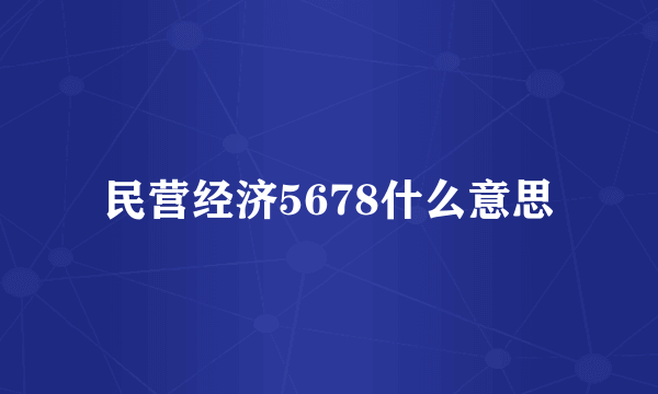 民营经济5678什么意思