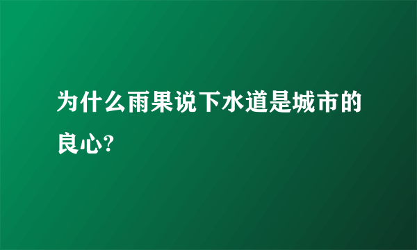 为什么雨果说下水道是城市的良心?