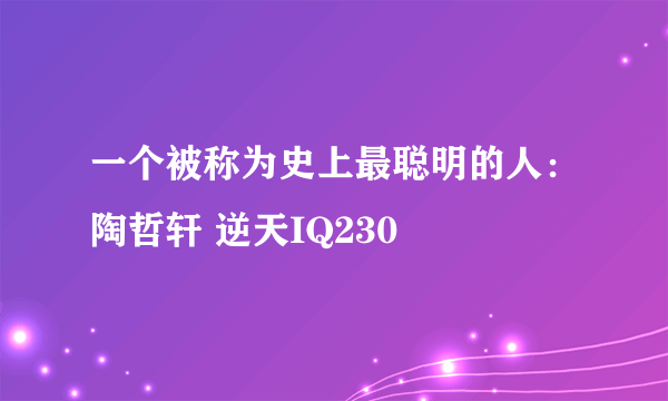 一个被称为史上最聪明的人：陶哲轩 逆天IQ230