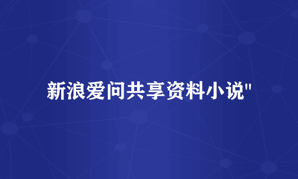 新浪爱问共享资料小说