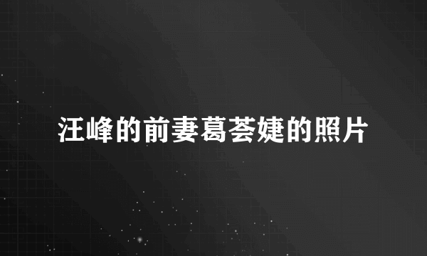 汪峰的前妻葛荟婕的照片