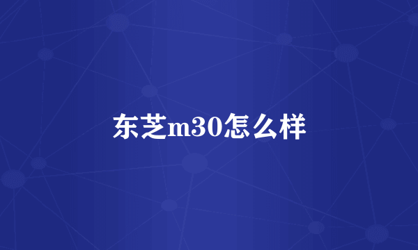 东芝m30怎么样