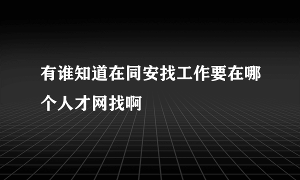 有谁知道在同安找工作要在哪个人才网找啊