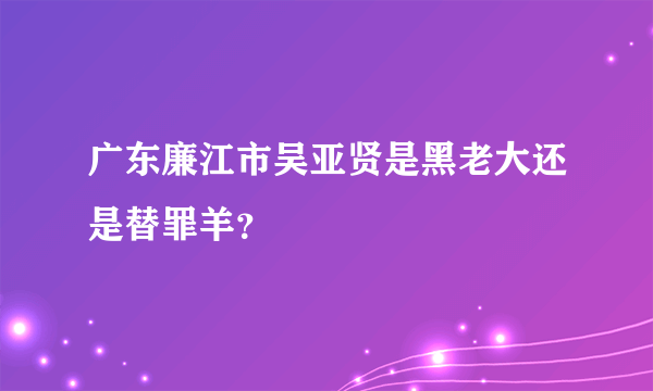 广东廉江市吴亚贤是黑老大还是替罪羊？