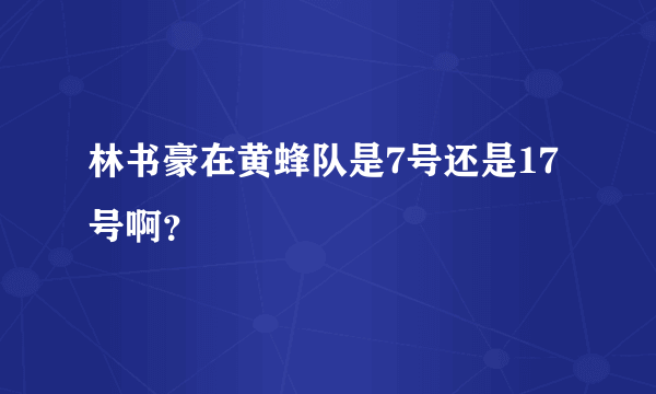 林书豪在黄蜂队是7号还是17号啊？