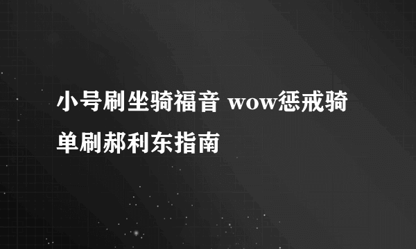 小号刷坐骑福音 wow惩戒骑单刷郝利东指南