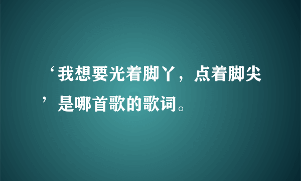 ‘我想要光着脚丫，点着脚尖’是哪首歌的歌词。