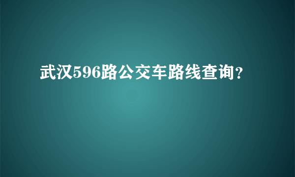 武汉596路公交车路线查询？