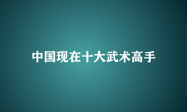 中国现在十大武术高手