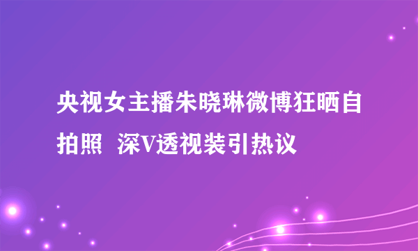 央视女主播朱晓琳微博狂晒自拍照  深V透视装引热议