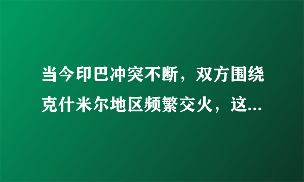 当今印巴冲突不断，双方围绕克什米尔地区频繁交火，这里充斥着水源、人口资源等多个矛盾，其中宗教矛盾也是双方日益交恶的主要原因。古代印度曾经被外族征服，伊斯兰教成为国家的国教，这样的情况让宗教冲突开始埋在印度历史当中，请问是由（　　）将伊斯兰教带入了印度。A.蒙古人B.突厥人C.中国人D.日耳曼人