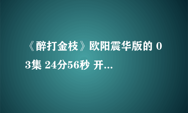 《醉打金枝》欧阳震华版的 03集 24分56秒 开始打老鼠时候和随后25分20秒的背景音乐叫什么啊