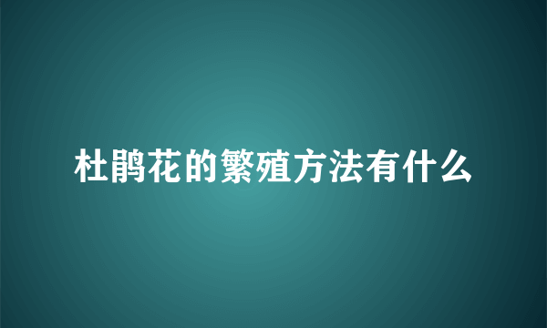 杜鹃花的繁殖方法有什么