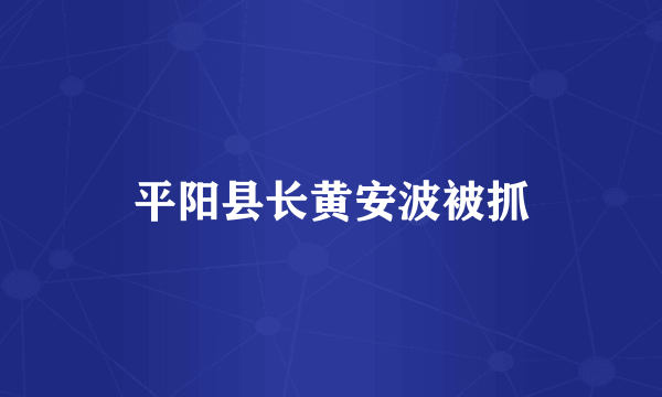 平阳县长黄安波被抓