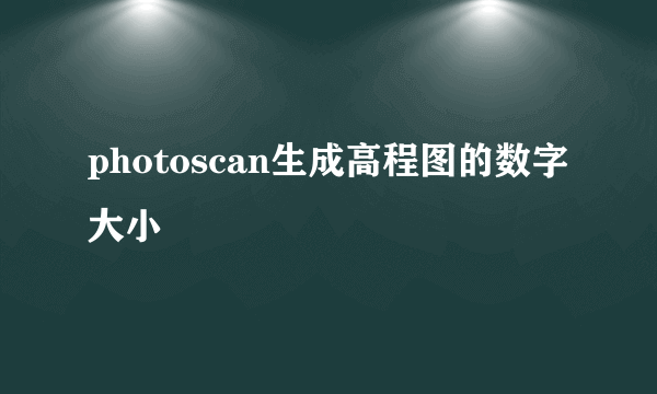 photoscan生成高程图的数字大小