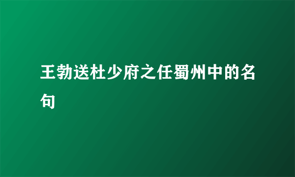 王勃送杜少府之任蜀州中的名句