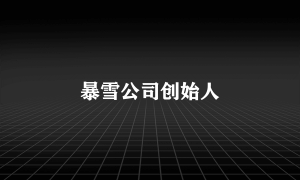 暴雪公司创始人