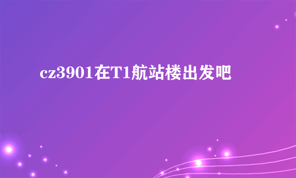 cz3901在T1航站楼出发吧