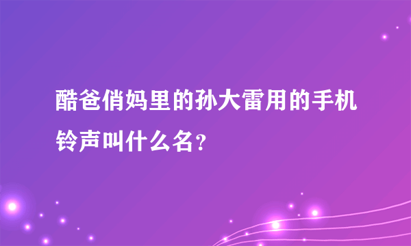 酷爸俏妈里的孙大雷用的手机铃声叫什么名？