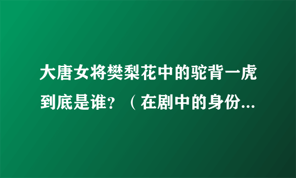 大唐女将樊梨花中的驼背一虎到底是谁？（在剧中的身份同结局）？