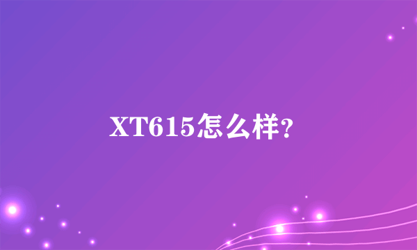 XT615怎么样？