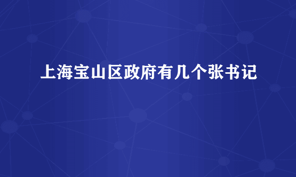 上海宝山区政府有几个张书记