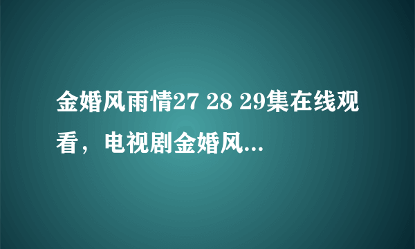 金婚风雨情27 28 29集在线观看，电视剧金婚风雨情全集27集28集29集优酷播放