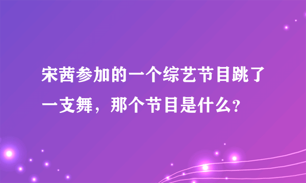 宋茜参加的一个综艺节目跳了一支舞，那个节目是什么？