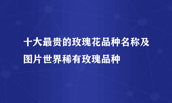 十大最贵的玫瑰花品种名称及图片世界稀有玫瑰品种