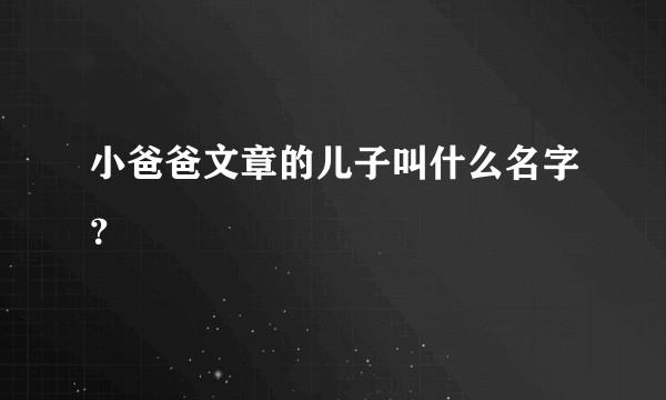 小爸爸文章的儿子叫什么名字？