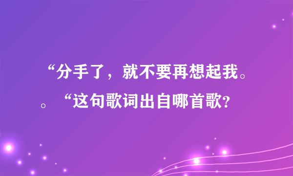 “分手了，就不要再想起我。。“这句歌词出自哪首歌？