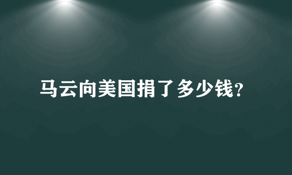 马云向美国捐了多少钱？