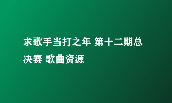 求歌手当打之年 第十二期总决赛 歌曲资源