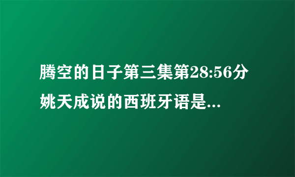 腾空的日子第三集第28:56分姚天成说的西班牙语是什么意思?拜托大神回答？