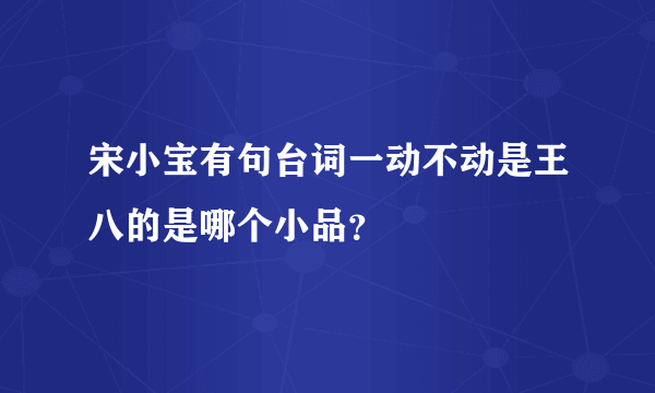 宋小宝有句台词一动不动是王八的是哪个小品？