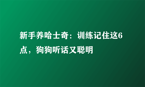 新手养哈士奇：训练记住这6点，狗狗听话又聪明