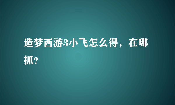 造梦西游3小飞怎么得，在哪抓？