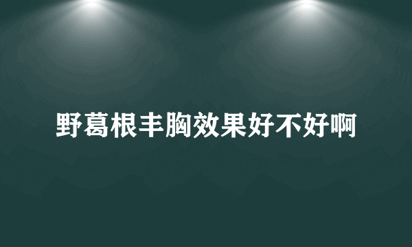 野葛根丰胸效果好不好啊