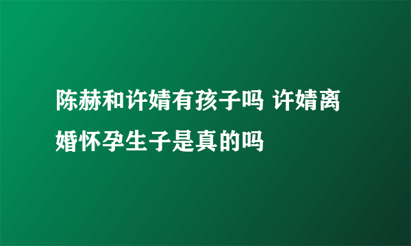 陈赫和许婧有孩子吗 许婧离婚怀孕生子是真的吗