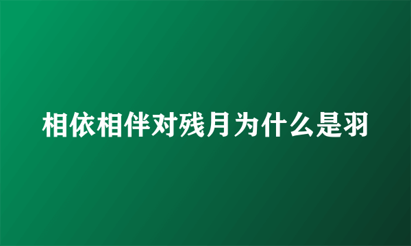 相依相伴对残月为什么是羽