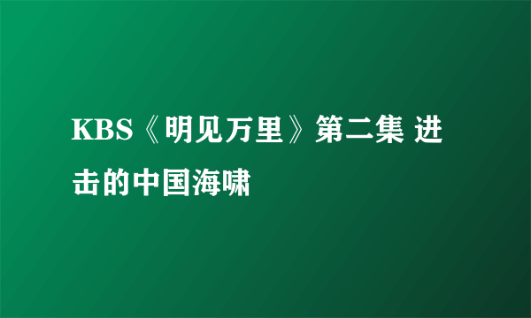 KBS《明见万里》第二集 进击的中国海啸