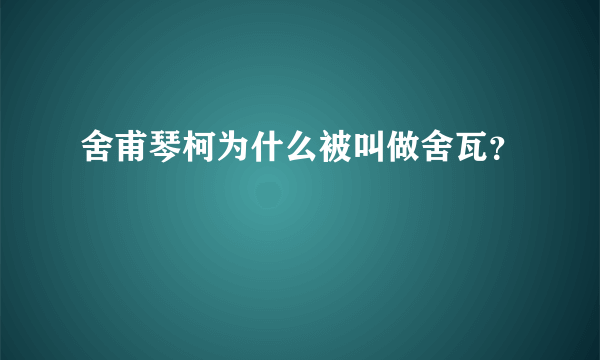 舍甫琴柯为什么被叫做舍瓦？