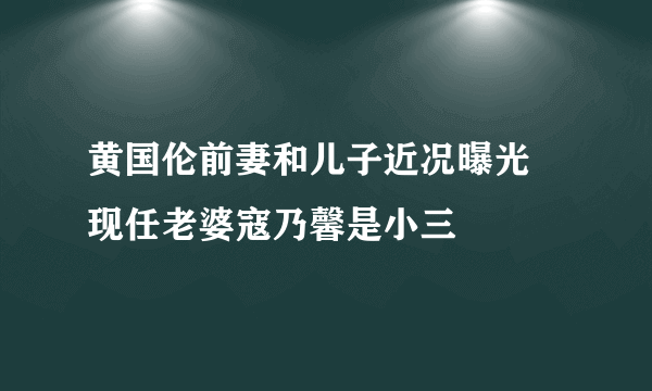 黄国伦前妻和儿子近况曝光 现任老婆寇乃馨是小三