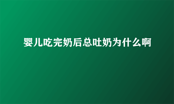 婴儿吃完奶后总吐奶为什么啊