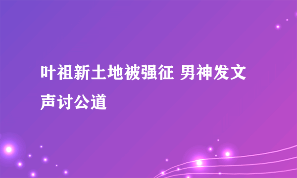 叶祖新土地被强征 男神发文声讨公道